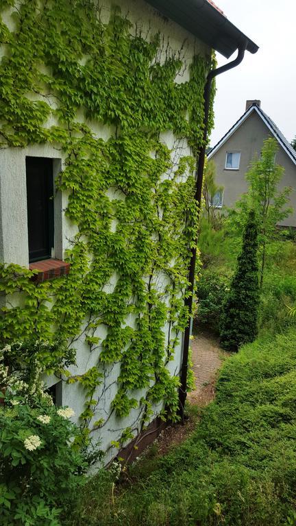 Haus Seefeld Ückeritz Exterior foto